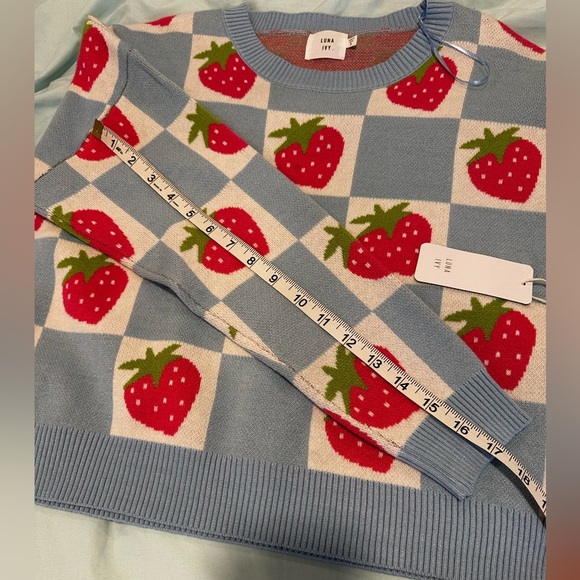 NWT Luna Ivy Anthropologie Strawberry and Blue Checker. Crew Neck Oversized Sm - Picture 4 of 16